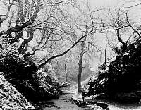 Borgie Glen in Winter.jpg