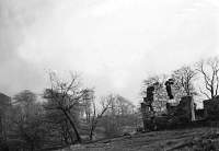 Ruin with trees - maybe East Greenlees.jpg