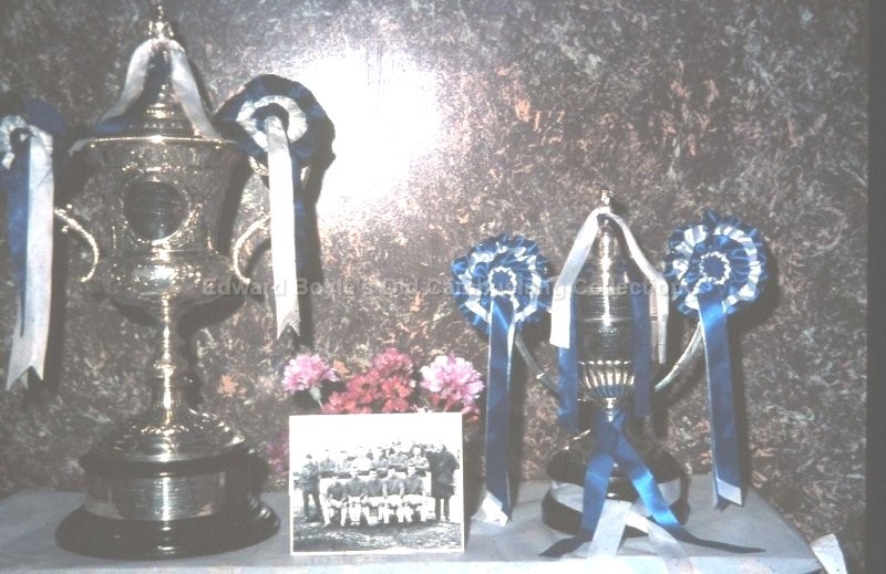 Scottish cups in the shop.JPG (98933 bytes)