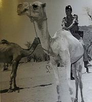 Cameronians in Aden 7.jpg
