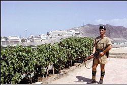 tn_A sentry patrolling the Aden Government House.jpg (13532 bytes)