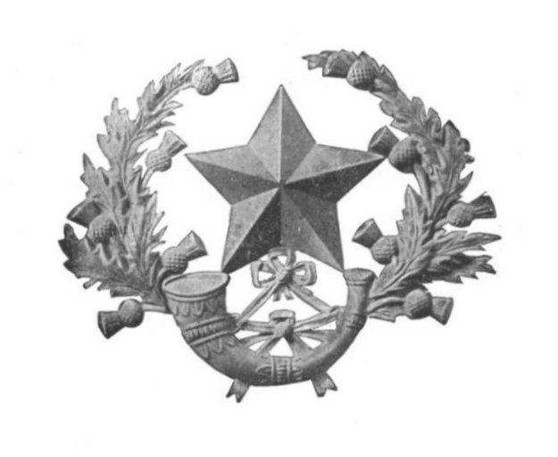 Badge.JPG (32515 bytes)
