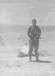 tn_Beach.jpg (3015 bytes)