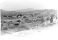 tn_Aden 8.jpg (2472 bytes)