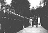 tn_queen.jpg (2733 bytes)
