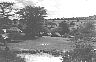 tn_Kenyab.jpg (2704 bytes)