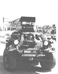 tn_Ferret.jpg (4982 bytes)