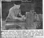 tn_Newspaper.jpg (6385 bytes)