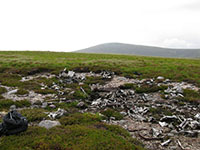 Wellington remains near Bynack More