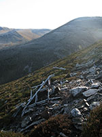 Wellington wreckage on Carn Aosda