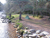 Campsite in Rothiermurchus forest next to the Cairngorm Club footbridge over the Am Beanaidh river 