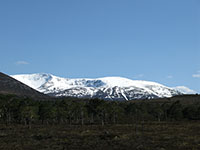 Braeriach from the Rothiemurchus Forest 